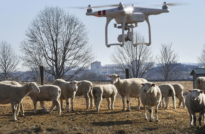 Τα drones σε ρόλο τσοπανόσκυλου