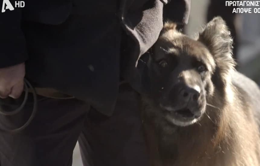 202201271831140.20220127191842_1D8A2336 - DIAVASETO.GR