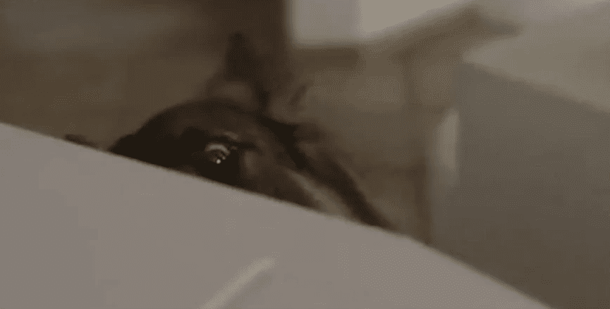 sasmos08 - DIAVASETO.GR