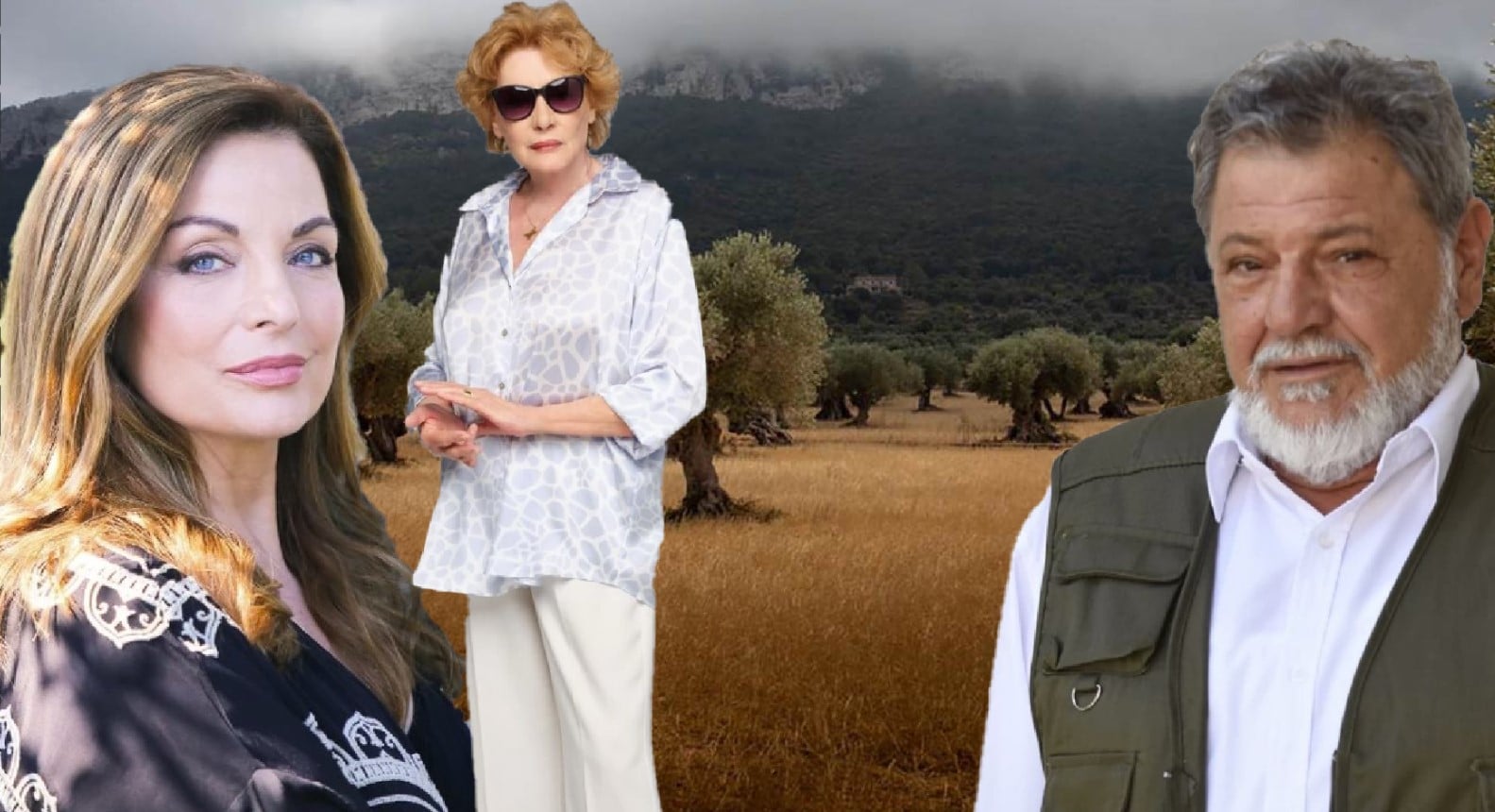 Screenshot_3 - DIAVASETO.GR