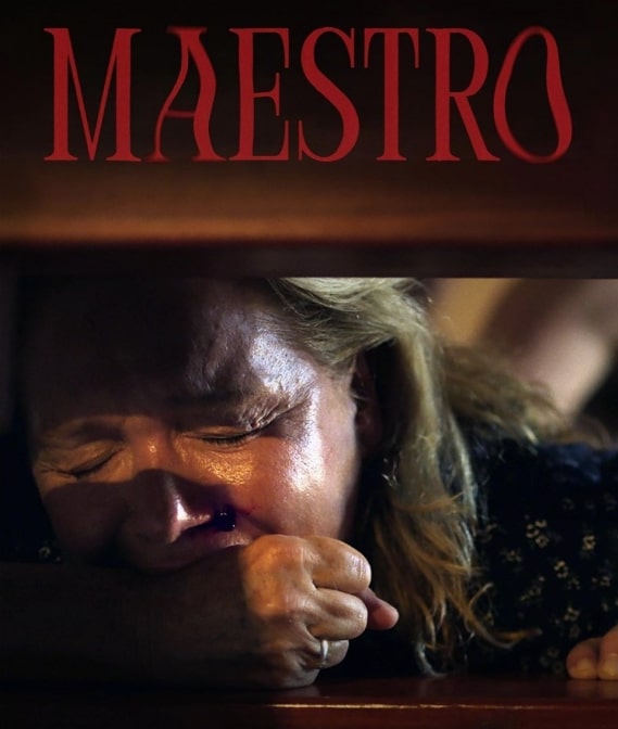LOGO MAESTRO 1 - DIAVASETO.GR